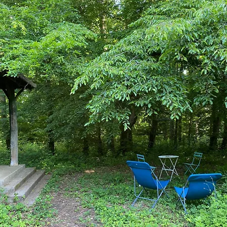 Charmant Chalet Auffargis